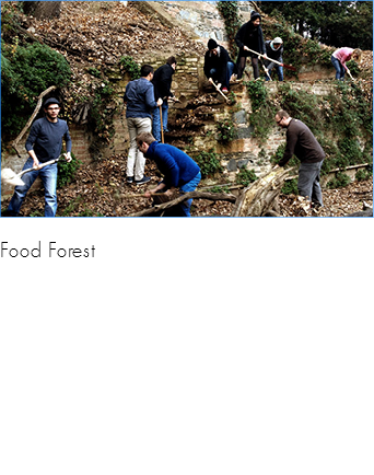  ﷯Food Forest 